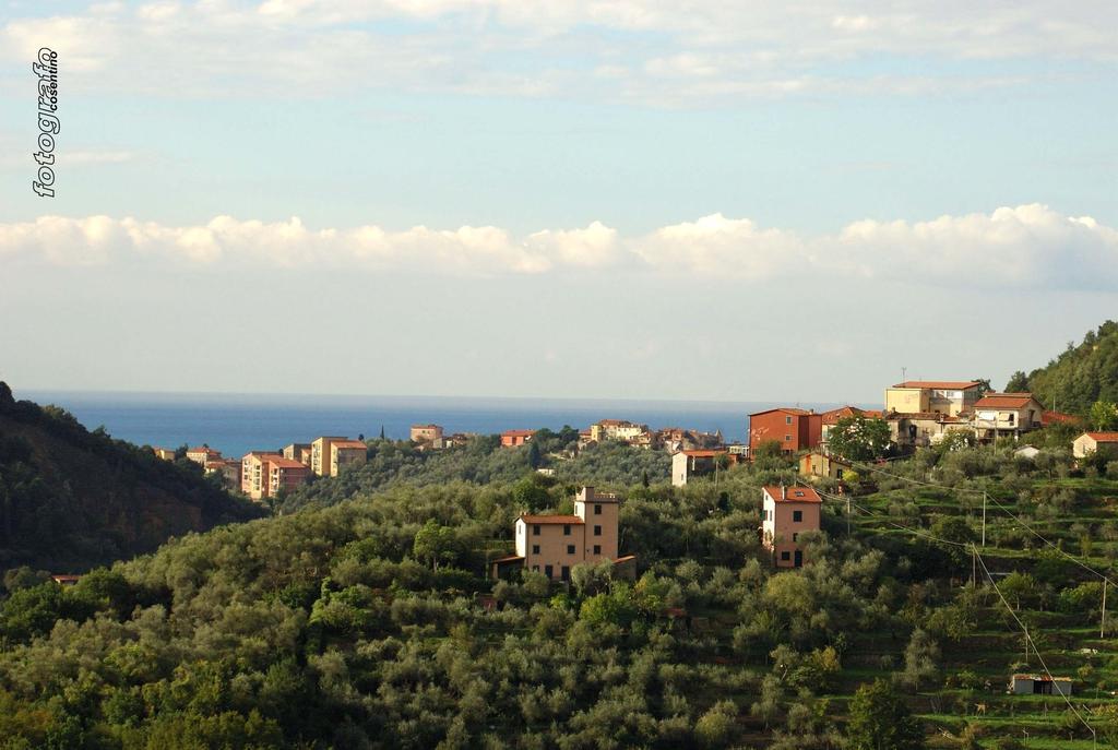 Da Giuse Bed & Breakfast Trebiano ภายนอก รูปภาพ